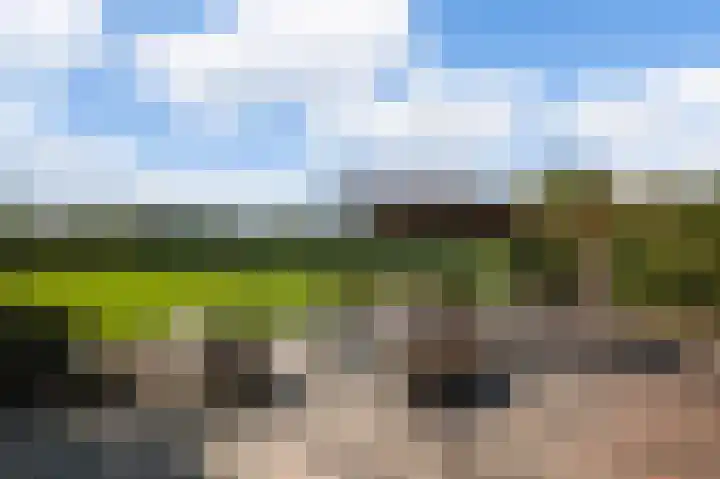 Groenling 35 Ouderkerk aan de Amstel thumbnail 4