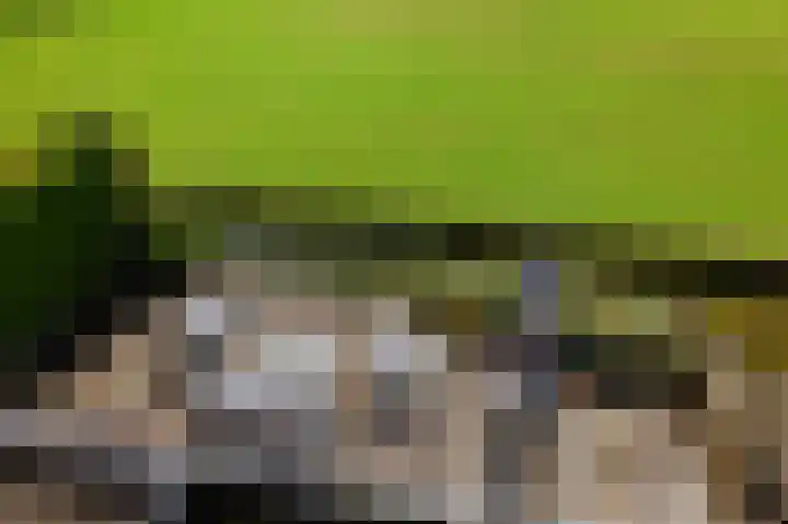 Groenling 35 Ouderkerk aan de Amstel thumbnail 41
