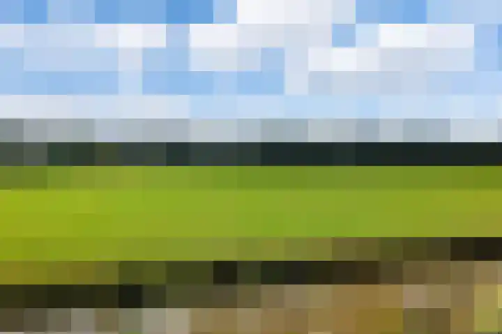 Groenling 35 Ouderkerk aan de Amstel thumbnail 42