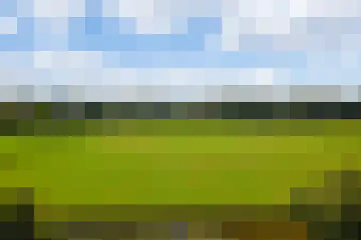 Groenling 35 Ouderkerk aan de Amstel thumbnail 43