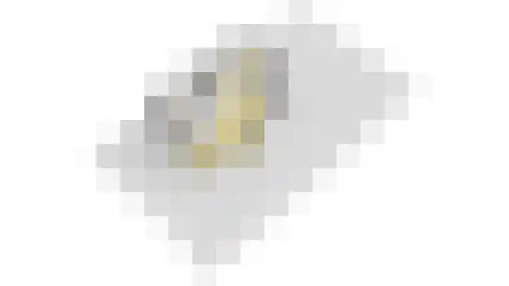 Groenling 35 Ouderkerk aan de Amstel thumbnail 46