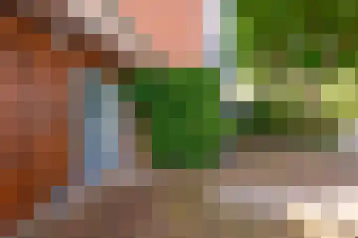 Groenling 35 Ouderkerk aan de Amstel thumbnail 6