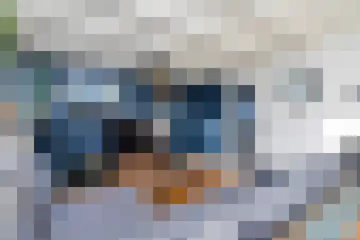 Groenling 5 A Schagen thumbnail 10
