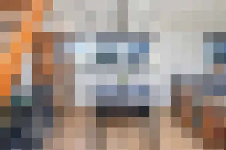 Groenling 5 A Schagen thumbnail 12