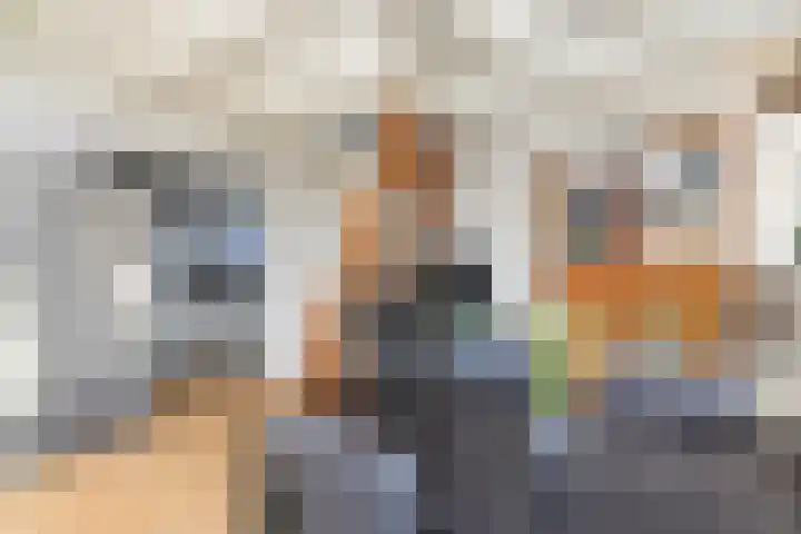Groenling 5 A Schagen thumbnail 13