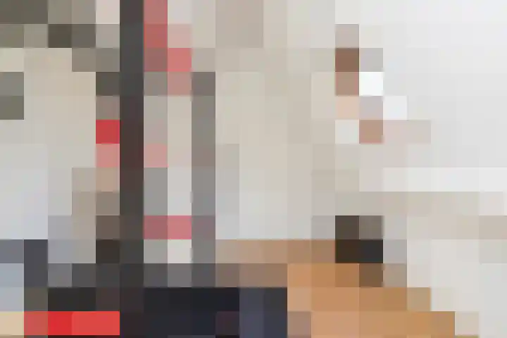 Groenling 5 A Schagen thumbnail 17