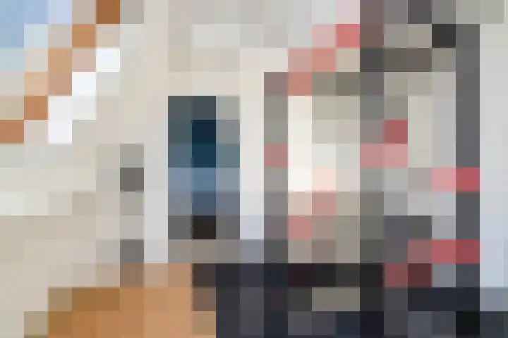 Groenling 5 A Schagen thumbnail 19