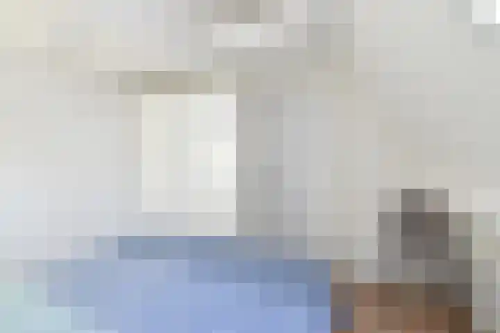 Groenling 5 A Schagen thumbnail 21