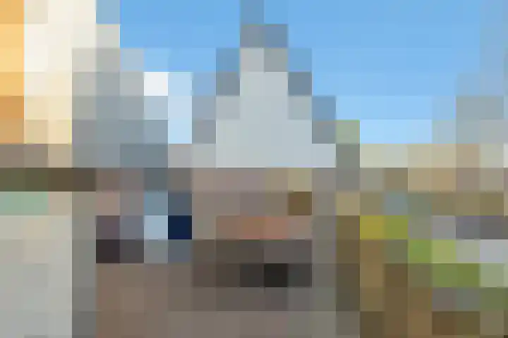 Groenling 5 A Schagen thumbnail 22