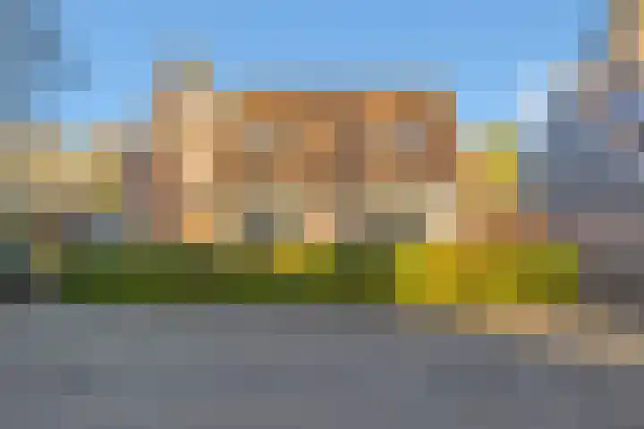 Groenling 5 A Schagen thumbnail 23