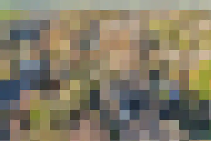 Groenling 5 A Schagen thumbnail 27