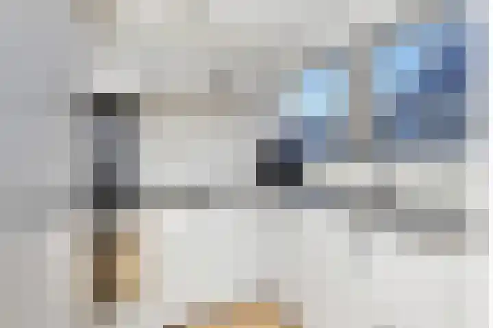Groenling 5 A Schagen thumbnail 4