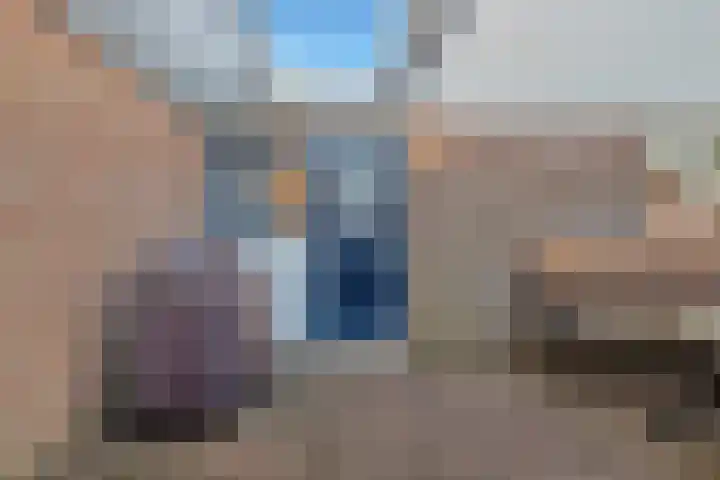 Groenling 5 A Schagen thumbnail 6