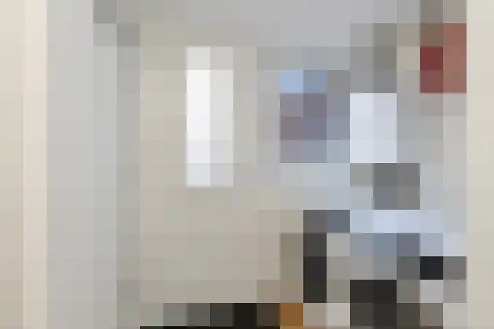 Groenling 5 A Schagen thumbnail 7