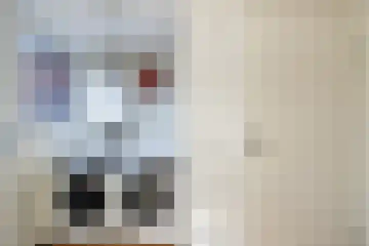 Groenling 5 A Schagen thumbnail 8