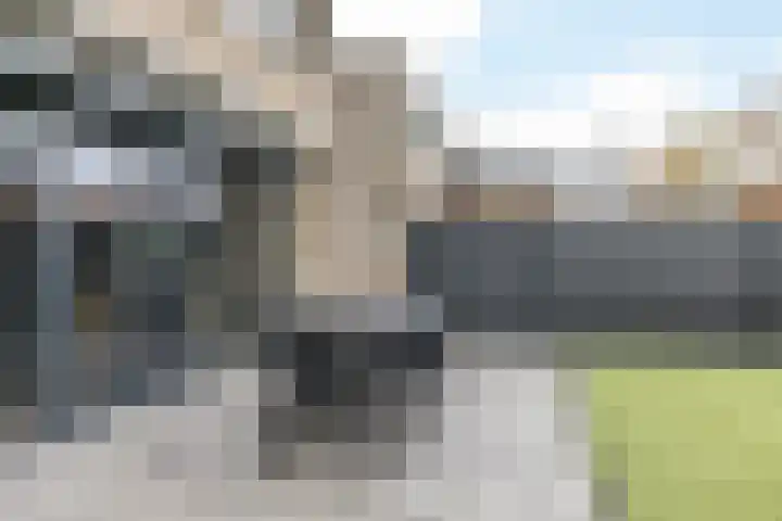 Groenling 8 Brunssum thumbnail 34