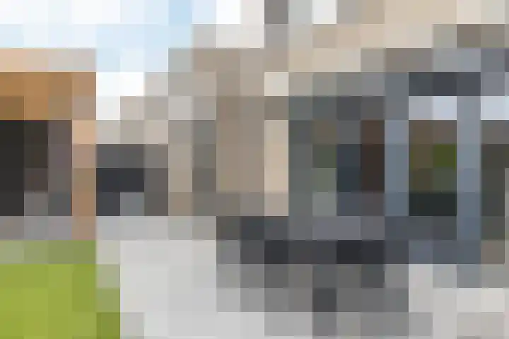 Groenling 8 Brunssum thumbnail 36