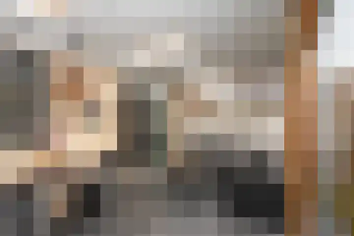 Groenling 80 Rijssen thumbnail 10