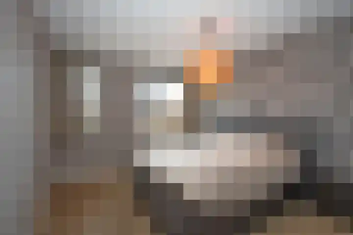 Groenling 80 Rijssen thumbnail 13