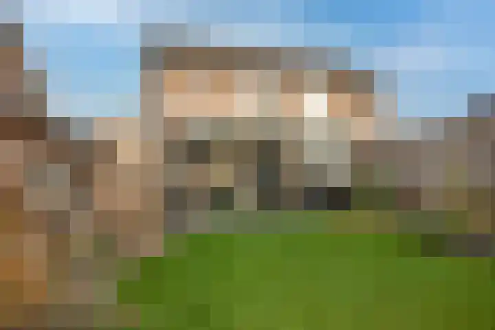 Groenling 80 Rijssen thumbnail 24
