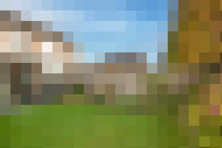 Groenling 80 Rijssen thumbnail 25