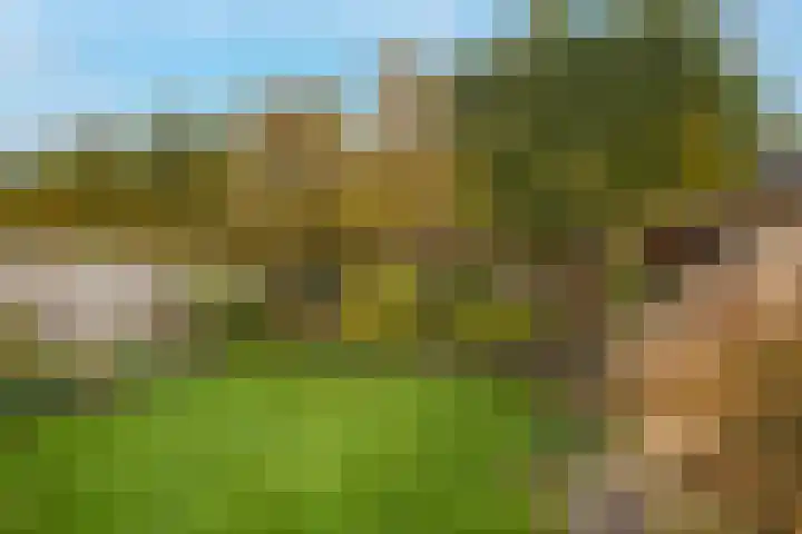Groenling 80 Rijssen thumbnail 26
