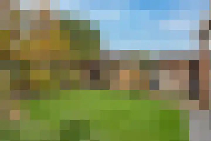 Groenling 80 Rijssen thumbnail 27