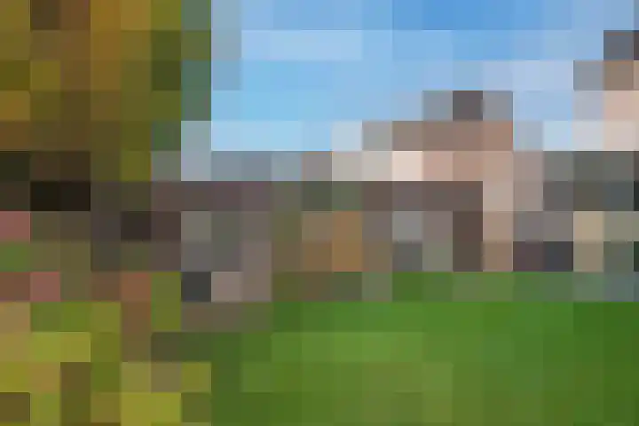 Groenling 80 Rijssen thumbnail 28