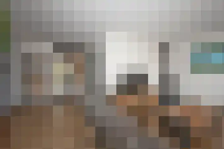 Groenling 80 Rijssen thumbnail 4