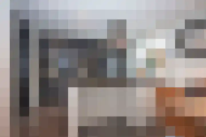Groenling 80 Rijssen thumbnail 6