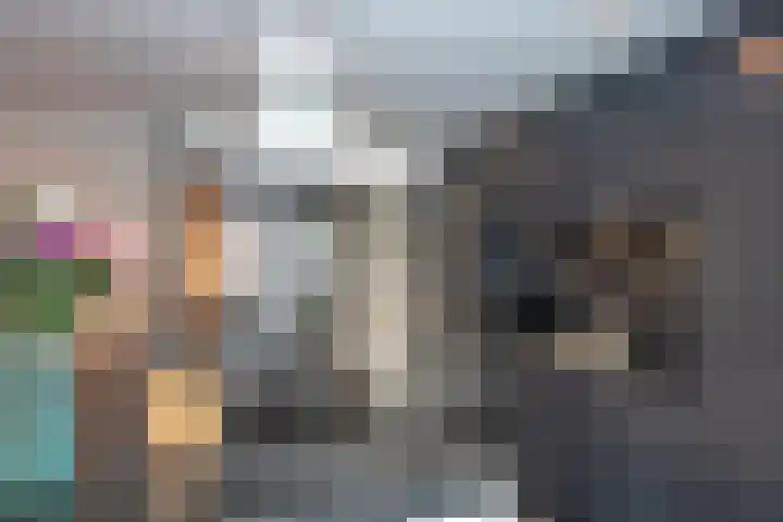 Groenling 80 Rijssen thumbnail 7