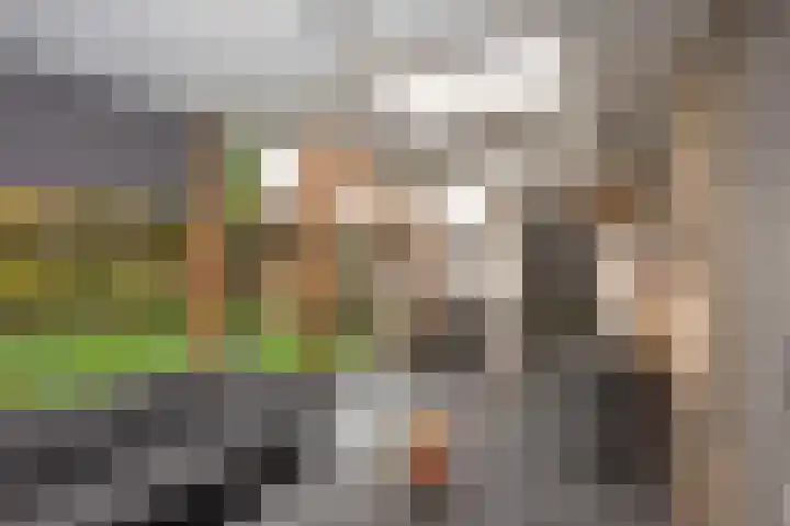 Groenling 80 Rijssen thumbnail 9