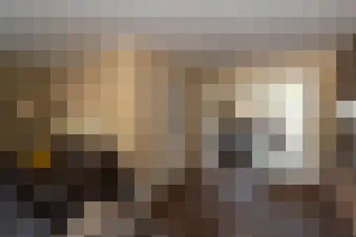 Groenling 82 Rijssen thumbnail 11