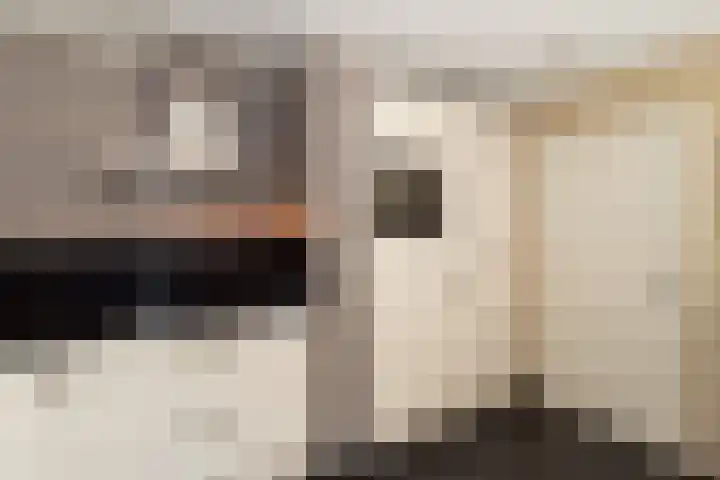 Groenling 82 Rijssen thumbnail 20
