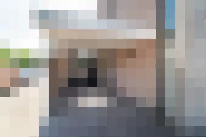 Groenling 82 Rijssen thumbnail 4