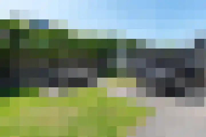 Groenling 82 Rijssen thumbnail 42