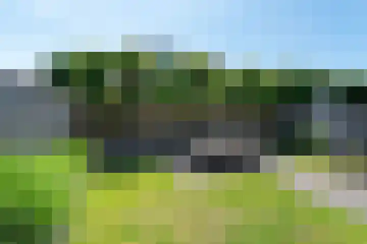 Groenling 82 Rijssen thumbnail 43