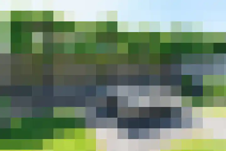 Groenling 82 Rijssen thumbnail 44