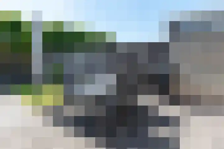 Groenling 82 Rijssen thumbnail 47