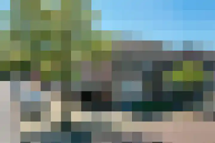 Groenling 82 Rijssen thumbnail 50