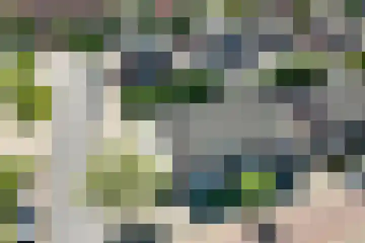 Groenling 82 Rijssen thumbnail 52