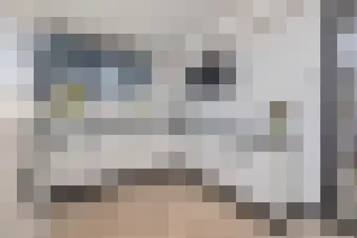Groenling 9 Hoogkarspel thumbnail 11