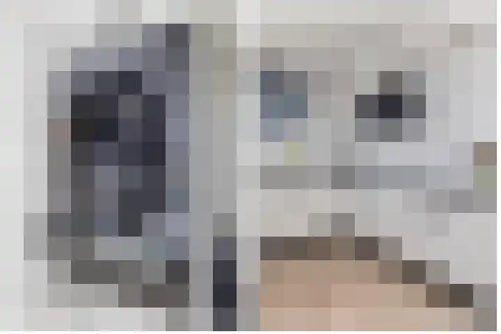 Groenling 9 Hoogkarspel thumbnail 12