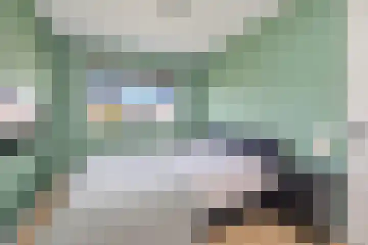 Groenling 9 Hoogkarspel thumbnail 15