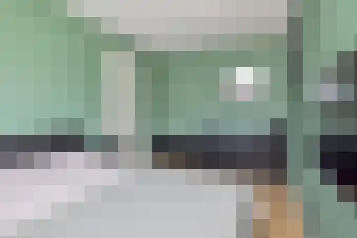 Groenling 9 Hoogkarspel thumbnail 16