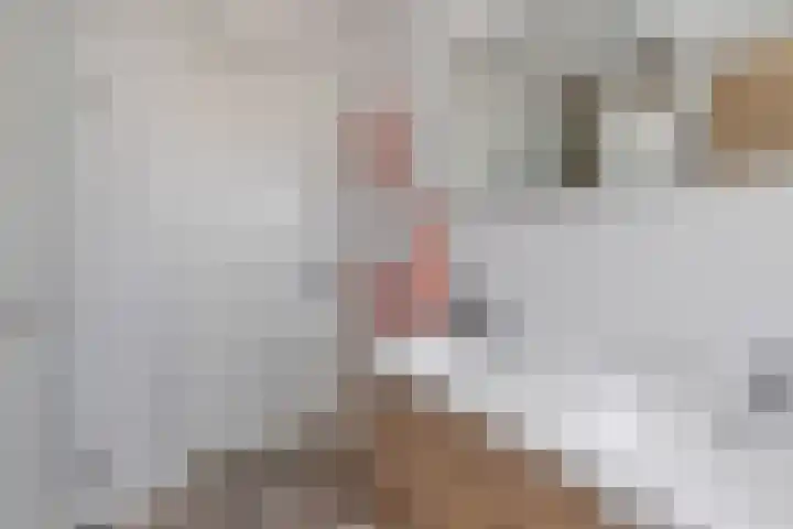Groenling 9 Hoogkarspel thumbnail 21