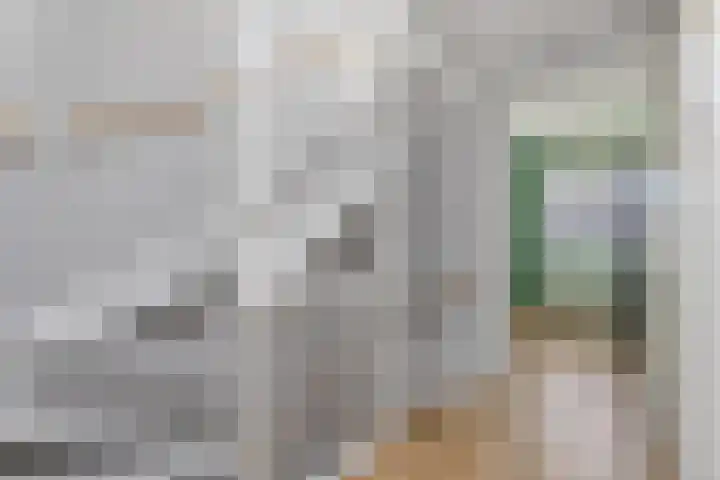 Groenling 9 Hoogkarspel thumbnail 25