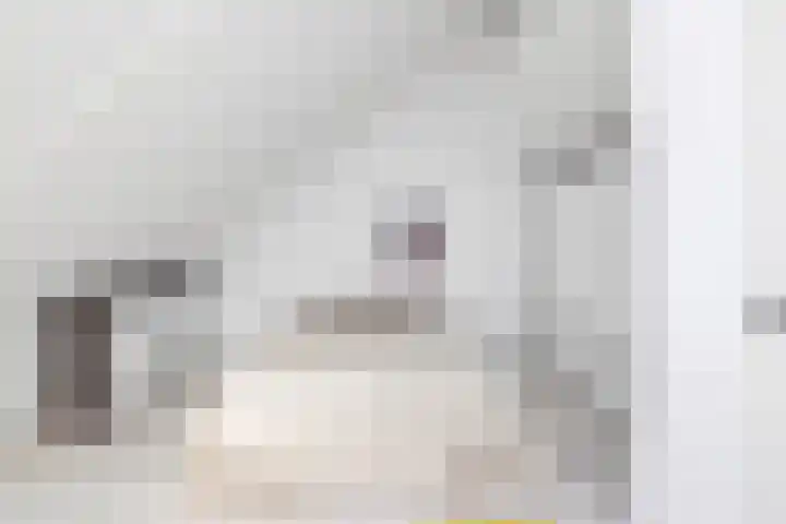 Groenling 9 Hoogkarspel thumbnail 26