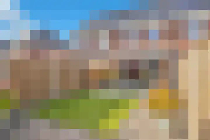 Groenling 9 Hoogkarspel thumbnail 31
