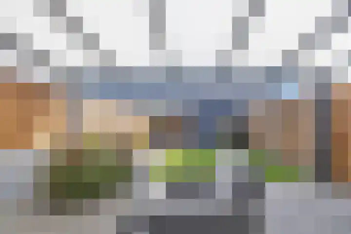 Groenling 9 Hoogkarspel thumbnail 34